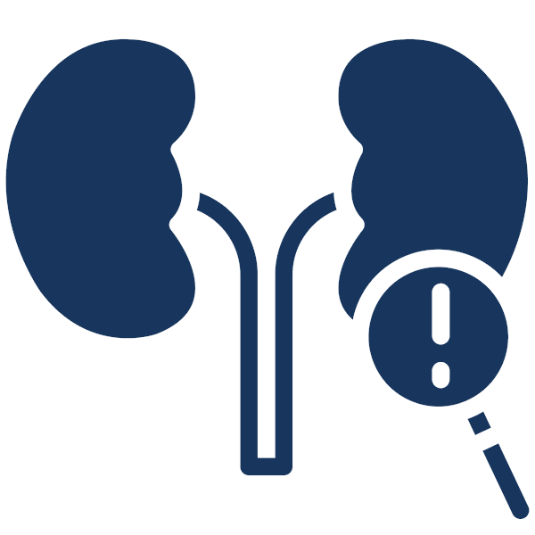 Kidney Function Test (KFT / RFT)