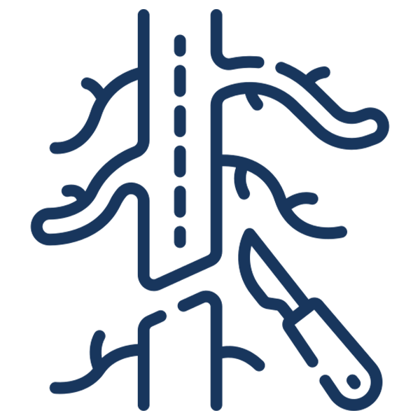 Vascular Surgeon